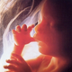 Illustration for article titled U.K. Scientists Create Embryo From Three Sets of DNA